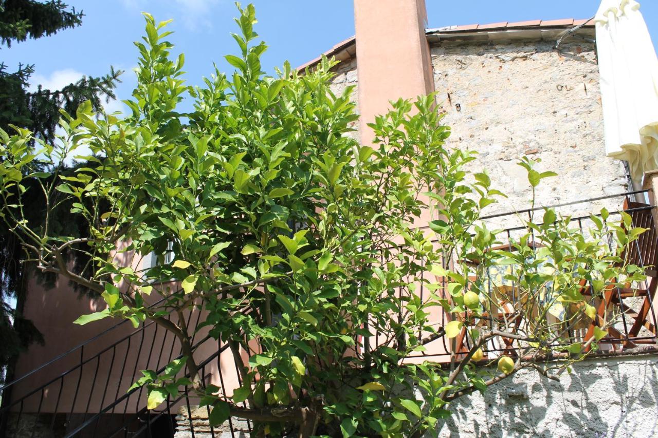 Agriturismo Terrazza Sul Golfo - Il Casale La Spezia Dış mekan fotoğraf